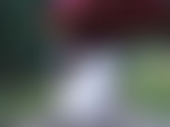 Jésus de Sibérie, quand la manipulation dépasse les frontières du dogme.