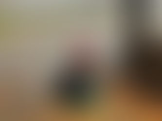 HEMLE ...Les premiers pas