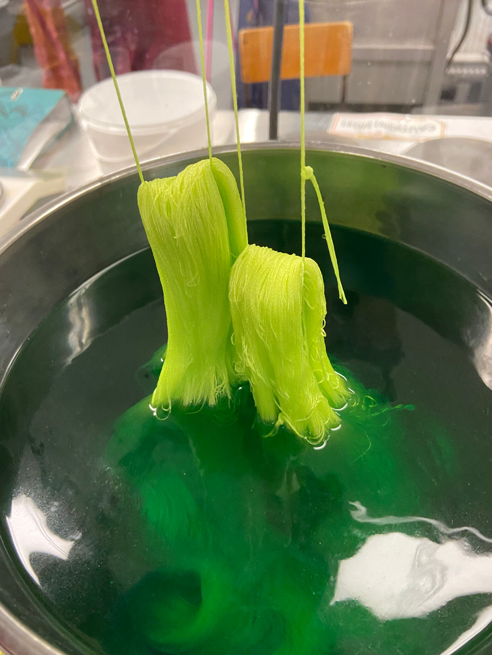 In the dye lab
