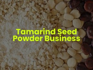 Tamarind Seed Powder Business