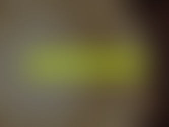 Tamarind Seed Powder Business