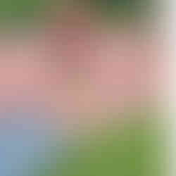 DSD's Eimear Maher runs for UCC