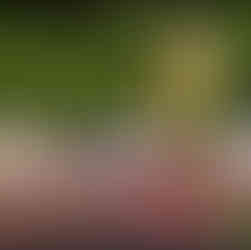 DSD's Morgan Clarkson in his UCD colours