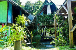 Tropical Cabin Al Viento