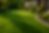 ChatGPT Image Apr 18, 2026, 05_25_19 PM.png