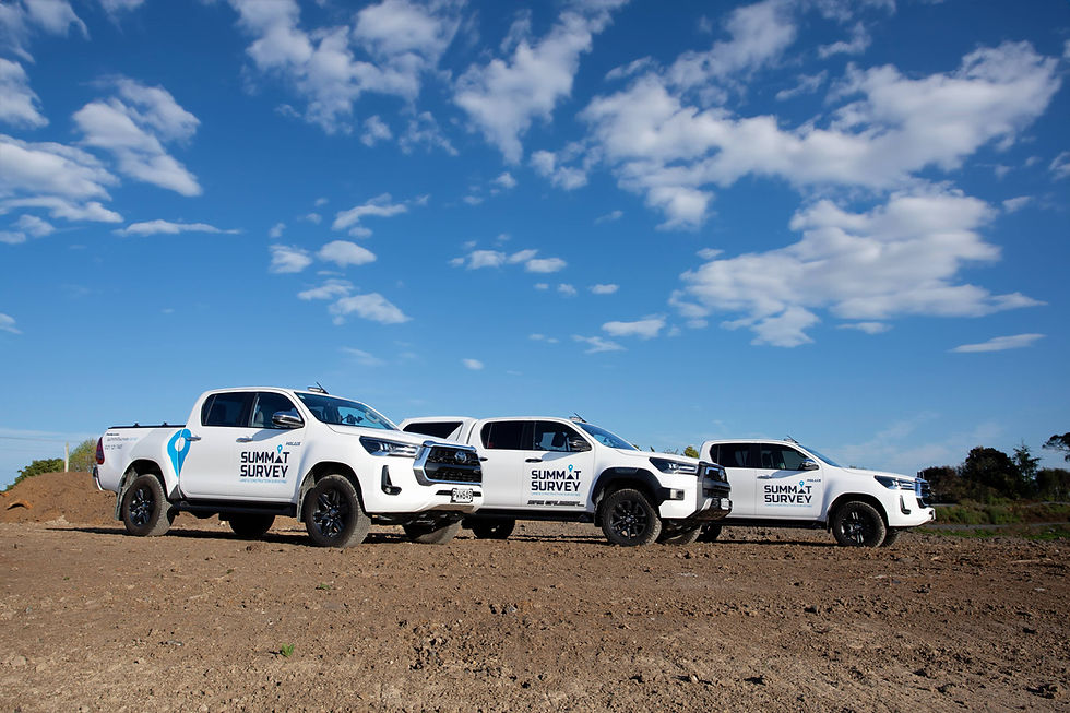 Summit Survey Bakkies