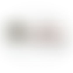 The Reset Method Logo