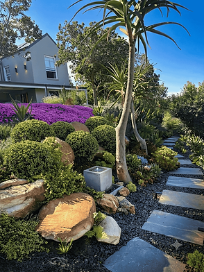 Garden landscaping George