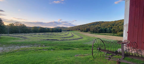 20230801_194544 (1).jpg