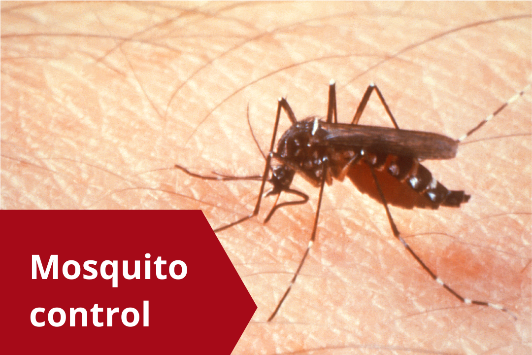 MOSQUITOES CONTROL PACK
