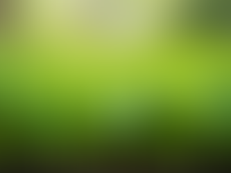Microgreens: Nutrient-Dense Powerhouses for Your Diet
