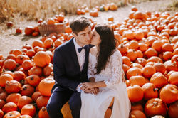 Sesja ślubna Dyniowe Love Gdańsk