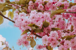 Fotograf fotografia nieruchomości Władysławowo pensjonatów apartamentów pokoi pokojów pensjonat amel