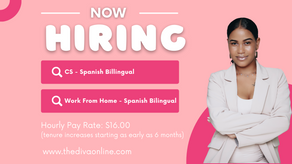 CUSTOMER SERVICE CONSULTANT - SPANISH BILINGUAL | WORK FROM HOME JOB | WAYFAIR