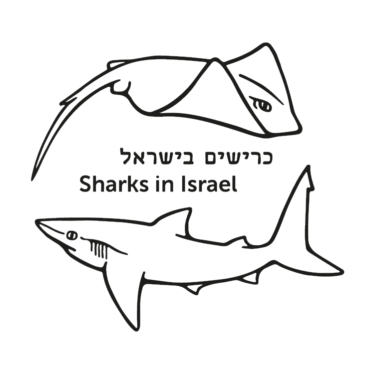 FB_black & white_edited.png
