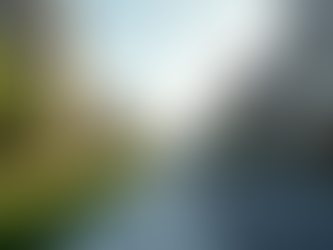 Top Tips for Finding Student Housing in Columbia SC Near UofSC