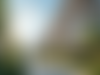 Essential Factors to Evaluate When Choosing UCLA Student Apartments