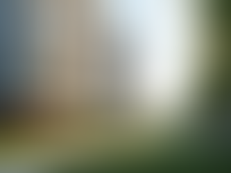 Top Reasons to Choose Apartments Near the University of South Carolina Campus