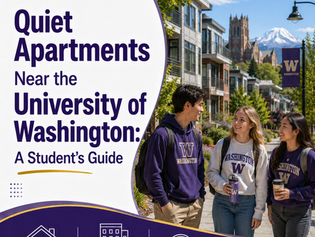 Quiet Apartments Near the University of Washington: A Student's Guide