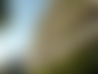 Top Tips for Students Seeking Affordable Housing Near UCLA