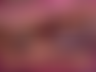 University of South Carolina student housing: What students should consider