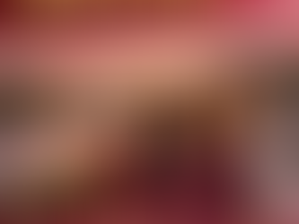 Best Neighborhoods Near the University of South Carolina for Off-Campus Housing