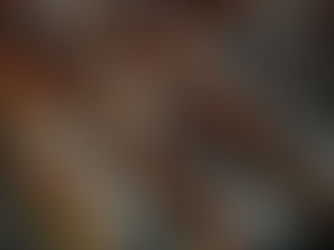 Senado recibe tres leyes secundarias de reforma judicial