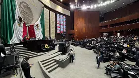Diputados van por firmas de Internet que no frenan contenido ilícito de sus usuarios