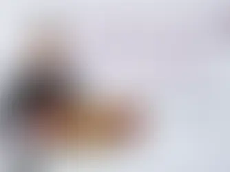 No corresponde con la realidad que haya una generación de jóvenes contra el gobierno: Sheinbaum