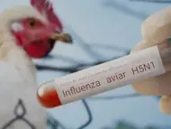 Niña, primera víctima mortal en México de Influenza Aviar H5N1