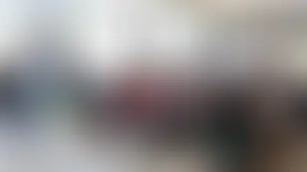 Pepe Chedraui impulsa el bienestar animal en Puebla con más de 8 mil acciones durante febrero