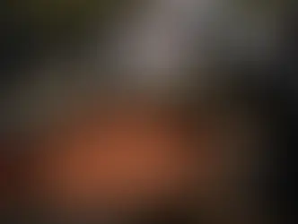 Ingreso ilegal de camarón de Ecuador hunde la acuacultura de México