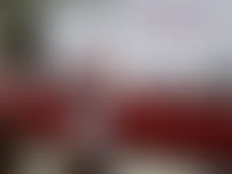 Defiende Gobernador Armenta derecho de las audiencias a conocer la verdad