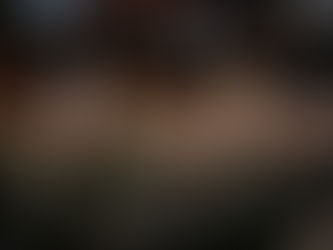 Estados Unidos enfrenta una "invasión desde dentro": Trump