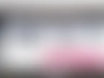 Los portaplacas están prohibidos en Puebla? Esto dice la norma