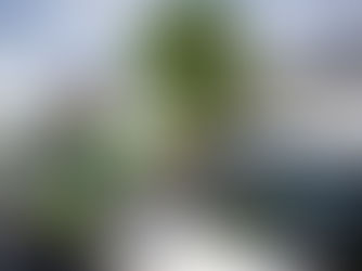 Puebla multará a vehículos con placas foráneas a partir de 2026; buscan frenar arrancones y exceso de velocidad