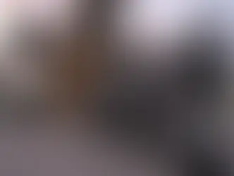 Secretario Trevilla diseñó distribución de efectivos en frontera norte: Sheinbaum