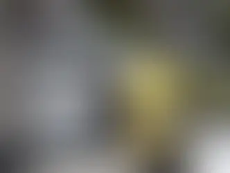 Roban tráiler y lo vacían en la México- Puebla, unidad es hallada en Texmelucan