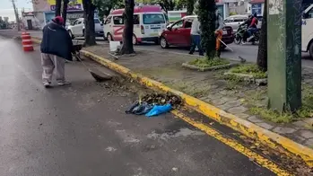 Interviene gobierno de Pepe Chedraui más de 16 millones de metros cuadrados de camellones