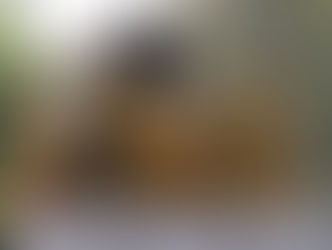 Así los precios del Gas LP en Puebla del 03 al 09 de agosto