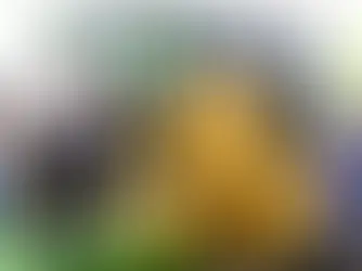 Gobierno estatal transforma los 217 municipios con módulos de maquinaria