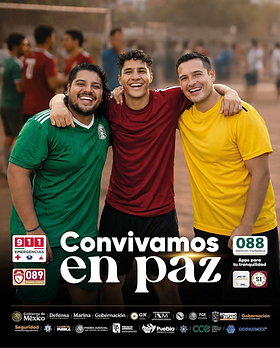 Convivamos en paz_vertical.png