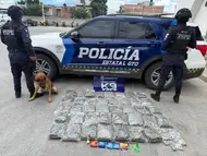 Binomio canino detecta cargamento de 20 kilos de mariguana en León