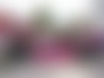 Arranca Pepe Chedraui obras de pavimentación en la colonia Ampliación Constitución Mexicana