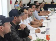 Preocupa constante presencia de cocodrilos en el mar y áreas urbanas de Jalisco