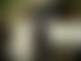 Inaugura Sheinbaum primera fase de la Línea K del Tren Interoceánico en Oaxaca