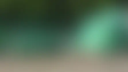 Roban equipo y más cerca de 125 mil pesos en COBAEP de Izúcar