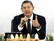 Puebla está libre de gusano barrenador