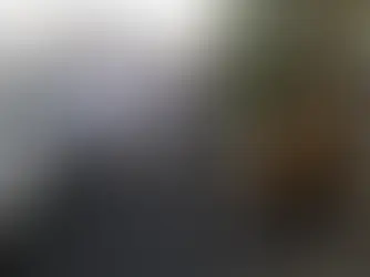 Supervisa Pepe Chedraui cuadrillas de bacheo en El Carmen