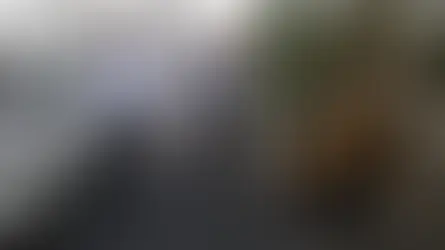 Supervisa Pepe Chedraui cuadrillas de bacheo en El Carmen